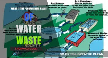 Uncovering the Root Cause of Water Waste: A Comprehensive Analysis