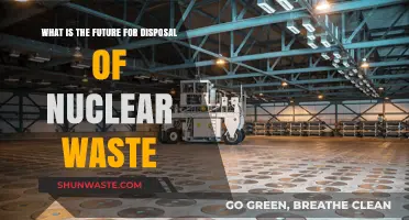 The Future of Nuclear Waste Disposal: Challenges and Innovations