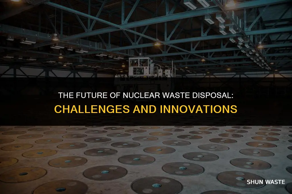what is the future for disposal of nuclear waste