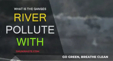 Ganges River Pollution: A Deadly Cocktail of Toxins