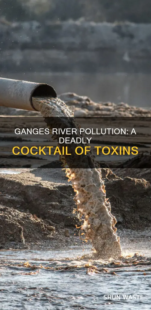 what is the ganges river polluted with