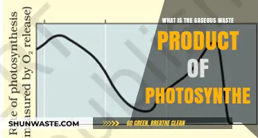 Understanding Photosynthesis: The Gaseous Waste Product Explained Simply