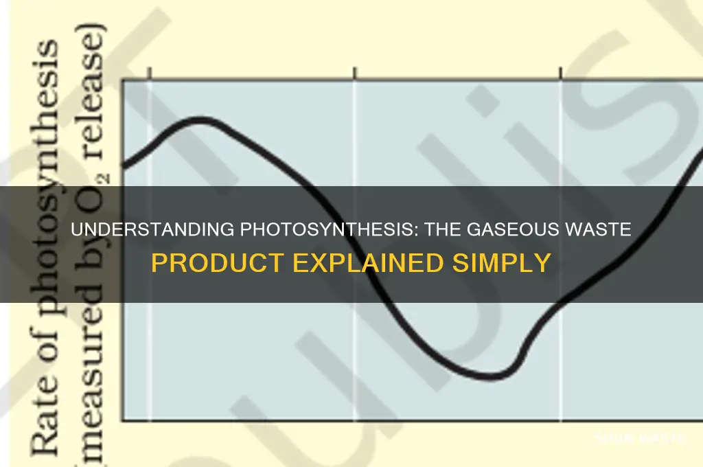 what is the gaseous waste product of photosynthesis