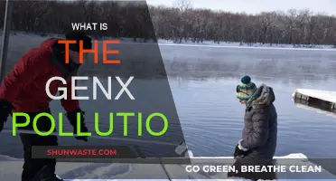 GenX Pollution: A Toxic Legacy