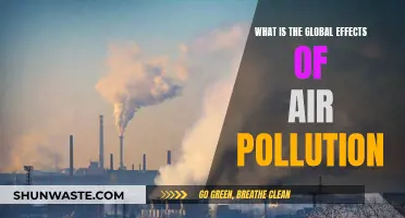 Air Pollution's Global Impact: A Health Crisis