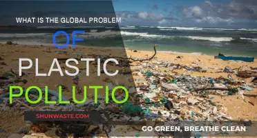 Plastic Pollution: A Global Crisis