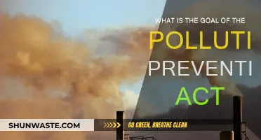 Preventing Pollution: The Act's Core Objective