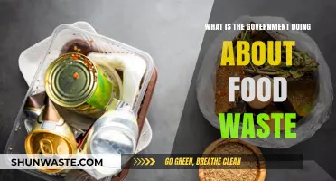 Government Initiatives to Combat Food Waste: A Comprehensive Overview