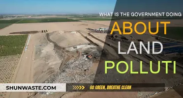 Government Efforts to Combat Land Pollution