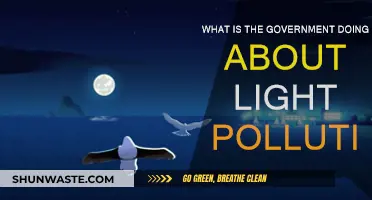 Addressing Light Pollution: Government Initiatives and Solutions