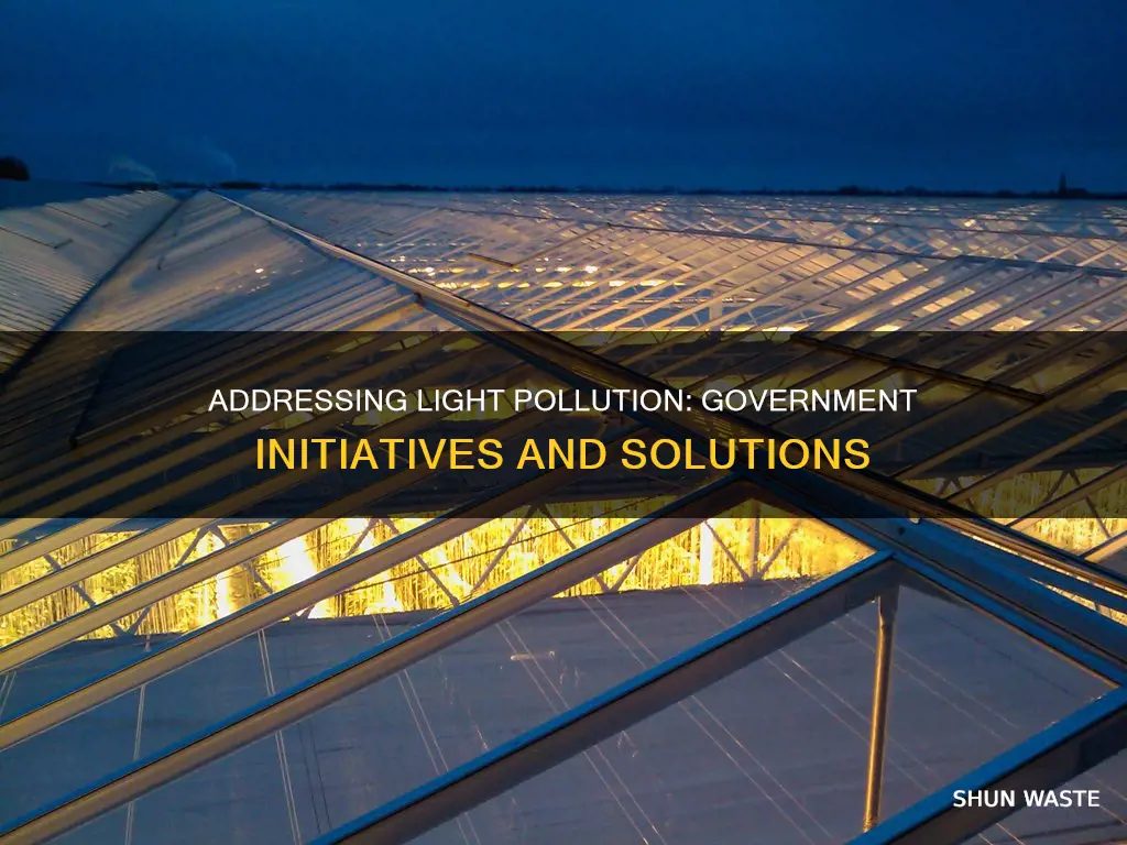 what is the government doing about light pollution