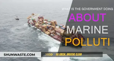 Government Action: Tackling Marine Pollution