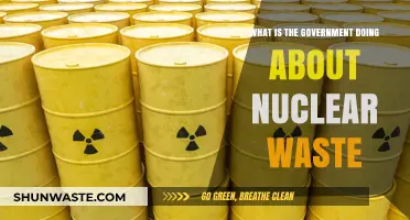 Government's Nuclear Waste Management: Policies, Challenges, and Future Solutions
