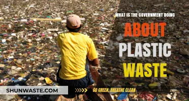Government Initiatives to Tackle Plastic Waste: Policies and Progress