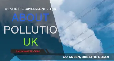UK Government's Anti-Pollution Initiatives: An Overview