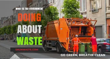 Government's Waste Management Initiatives: Policies, Actions, and Environmental Impact