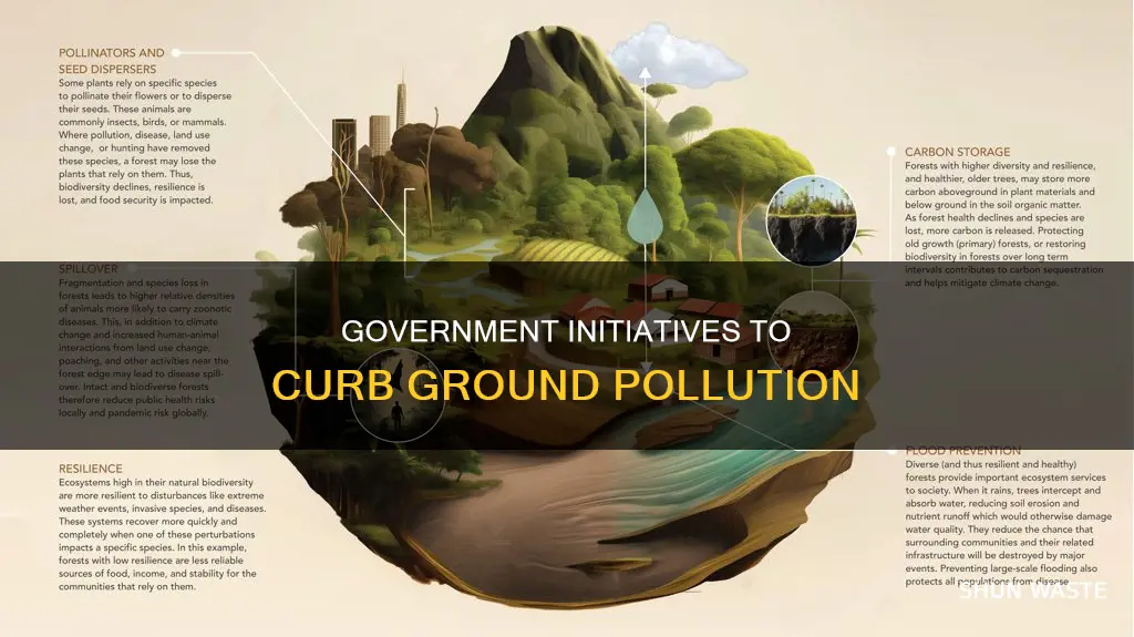 what is the government doing to control ground pollution