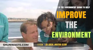 Government Initiatives: Enhancing Environmental Sustainability and Conservation Efforts