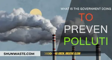 Government Initiatives to Combat Pollution