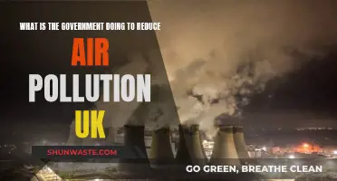 UK Government's Efforts to Reduce Air Pollution