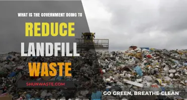Government Initiatives to Reduce Landfill Waste: Strategies and Progress