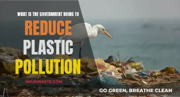 Government Efforts to Combat Plastic Pollution