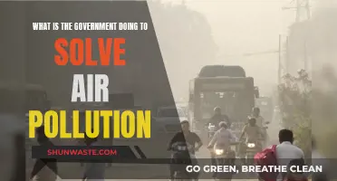 Government Initiatives to Combat Air Pollution