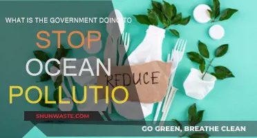 Combating Ocean Pollution: Government Initiatives and Actions