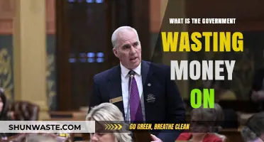 Taxpayer Dollars Squandered: Uncovering Government Spending Waste and Mismanagement