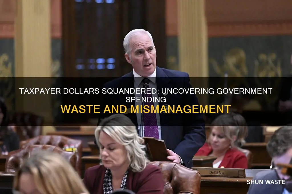 what is the government wasting money on
