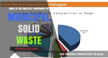 Unveiling the Largest Contributor to Municipal Solid Waste: A Comprehensive Analysis