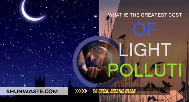Light Pollution: Stealing Nature's Nighttime Beauty