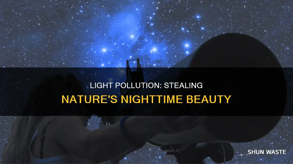 what is the greatest cost of light pollution