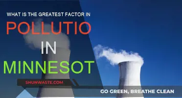 Minnesota's Pollution: The Main Culprit Revealed