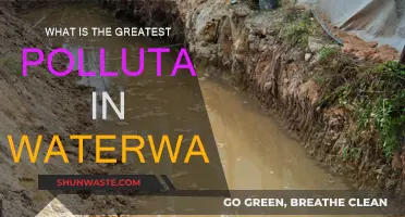Waterway Pollution: Plastics, a Global Scourge