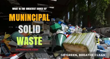 Unveiling the Primary Contributor to Municipal Solid Waste Generation