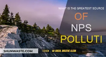 Sources Behind the Great NPS Pollution Mystery