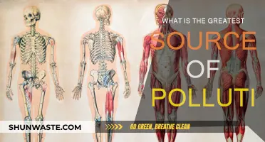 Human Activity: The Primary Pollution Source