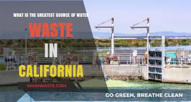 California's Water Crisis: Uncovering the Leading Cause of Waste