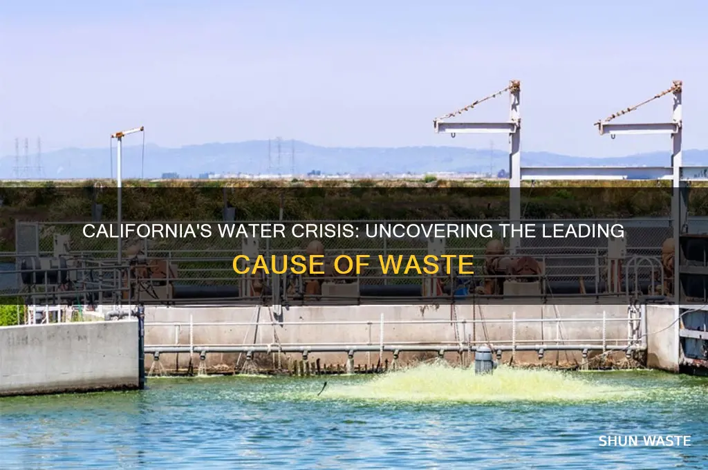 what is the greatest source of water waste in california