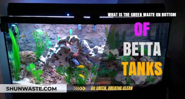 Understanding Green Waste Buildup in Betta Fish Tank Substrates