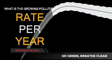 Pollution's Rising Tide: Annual Rate Revealed