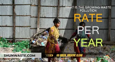 Waste Pollution: The Ever-Growing Environmental Crisis