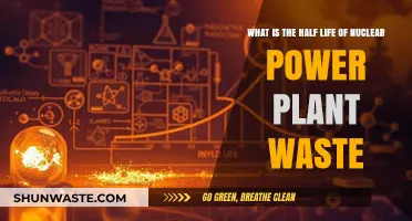 Understanding the Half-Life of Nuclear Power Plant Waste