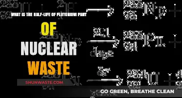 Understanding Plutonium's Half-Life in Nuclear Waste Disposal and Safety