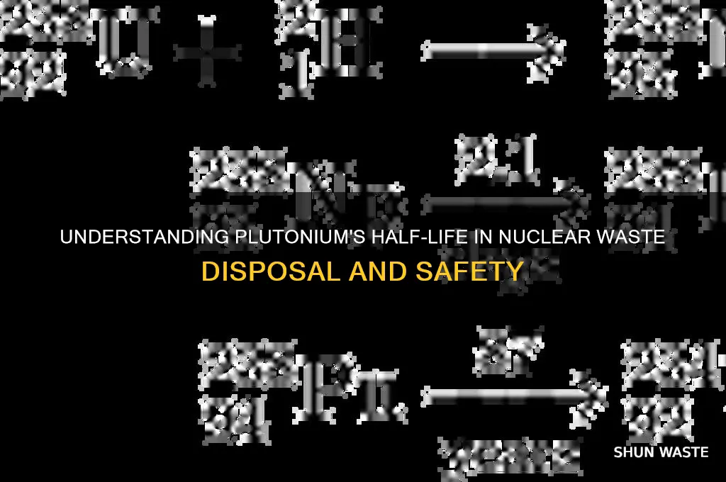 what is the half-life of plutonium part of nuclear waste