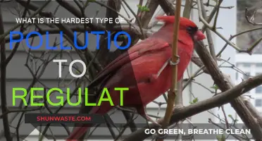 Regulating Pollution: What's the Hardest Type to Control?