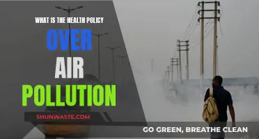Air Pollution: Health Policy and Action