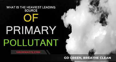 Leading Sources of Primary Pollutants: What's Weighing Us Down?