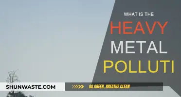 Heavy Metal Pollution: A Toxic Threat